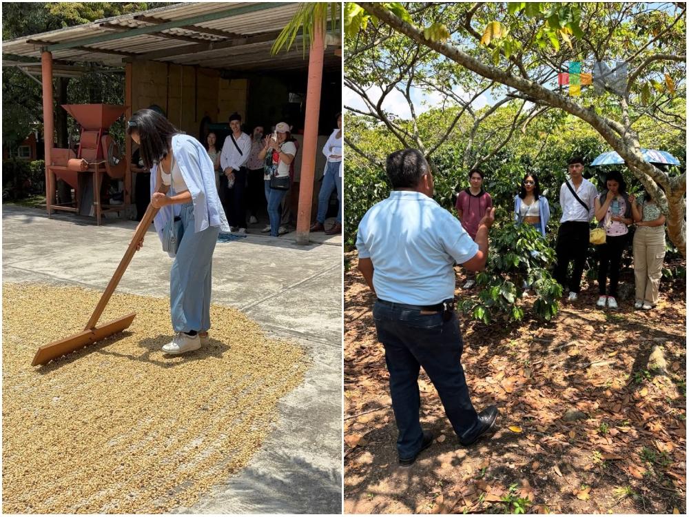 Córdoba invita a los talleres y recorridos en fincas cafetales del 18 al 24 de julio