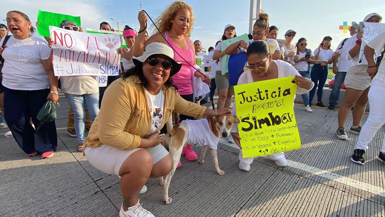 Marchan para exigir alto al maltrato animal en Veracruz puerto