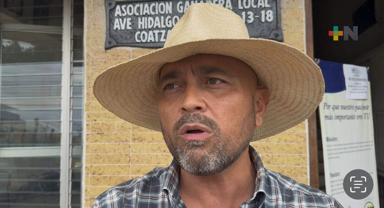 En Coatzacoalcos llaman a seguir aplicando medidas contra el gusano barrenador