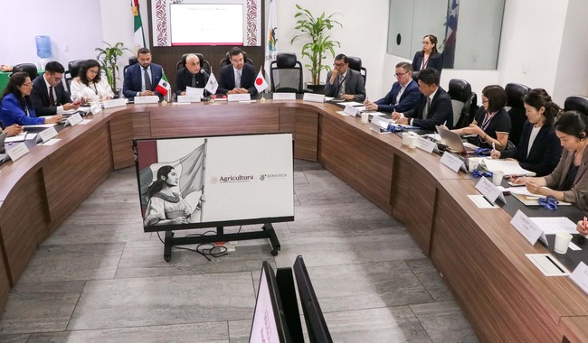 Fortalecen México y Japón confianza en exportación de cárnicos y aguacate