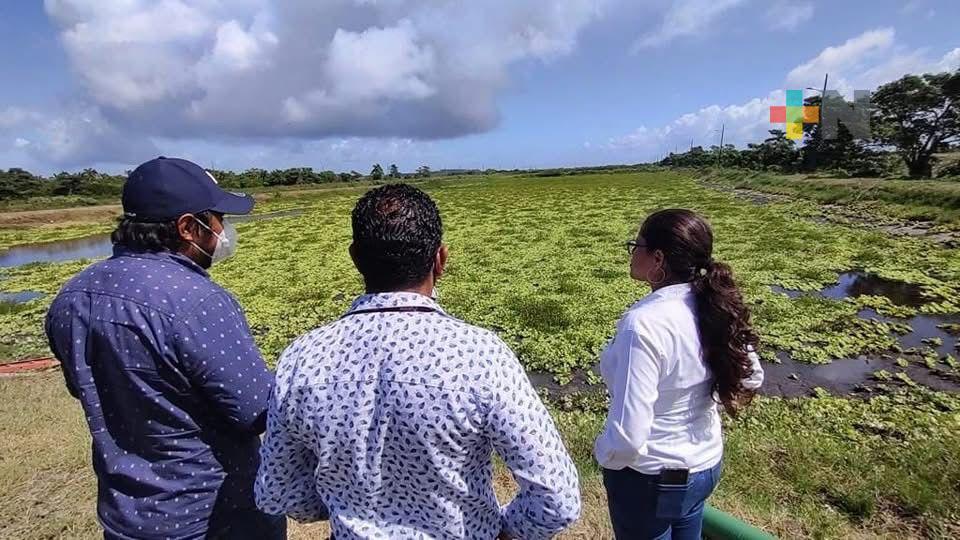 Sigue rehabilitación de planta de tratamiento de aguas residuales en Coatzacoalcos