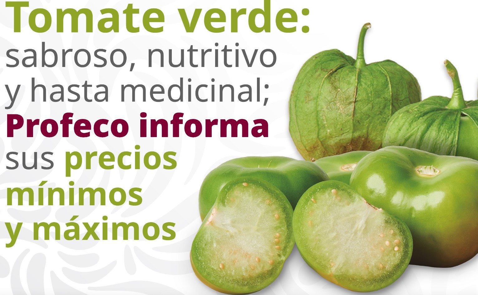 Tomate verde: sabroso, nutritivo y hasta medicinal