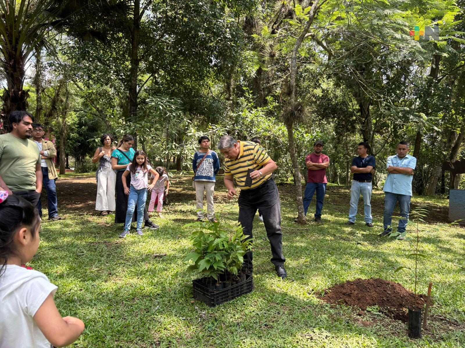 En vivero de Sedema, se reproducen gran variedad de árboles