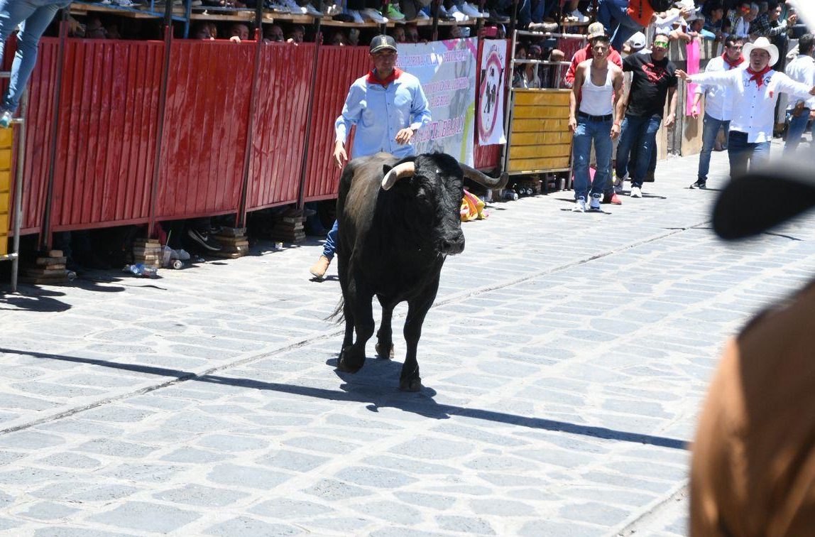Xiqueñada deja dos personas lesionadas