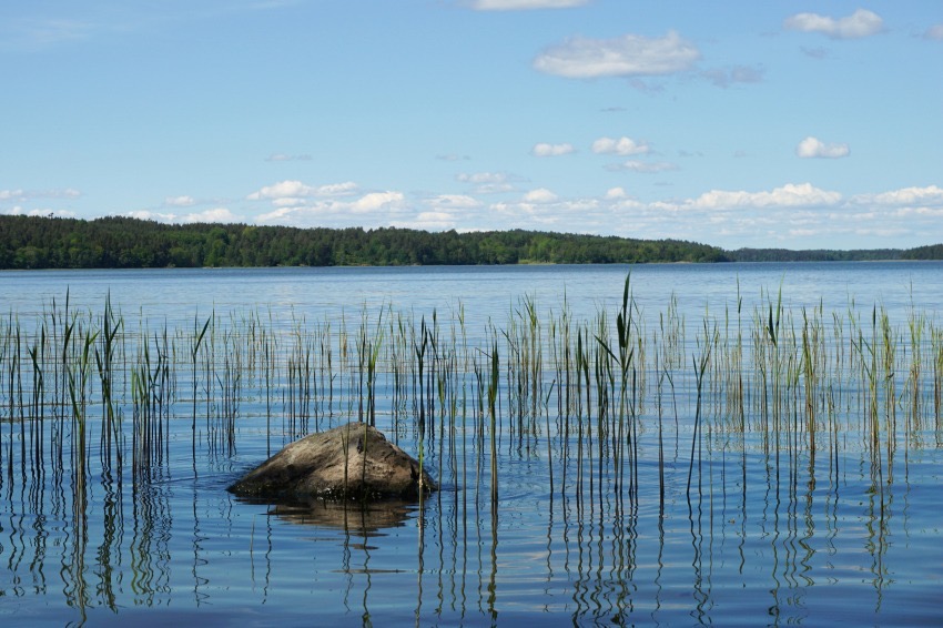 Día Mundial de los Lagos
