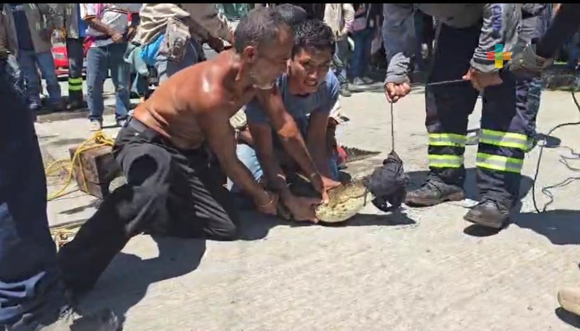 Cocodrilo capturado en Medellín de Bravo