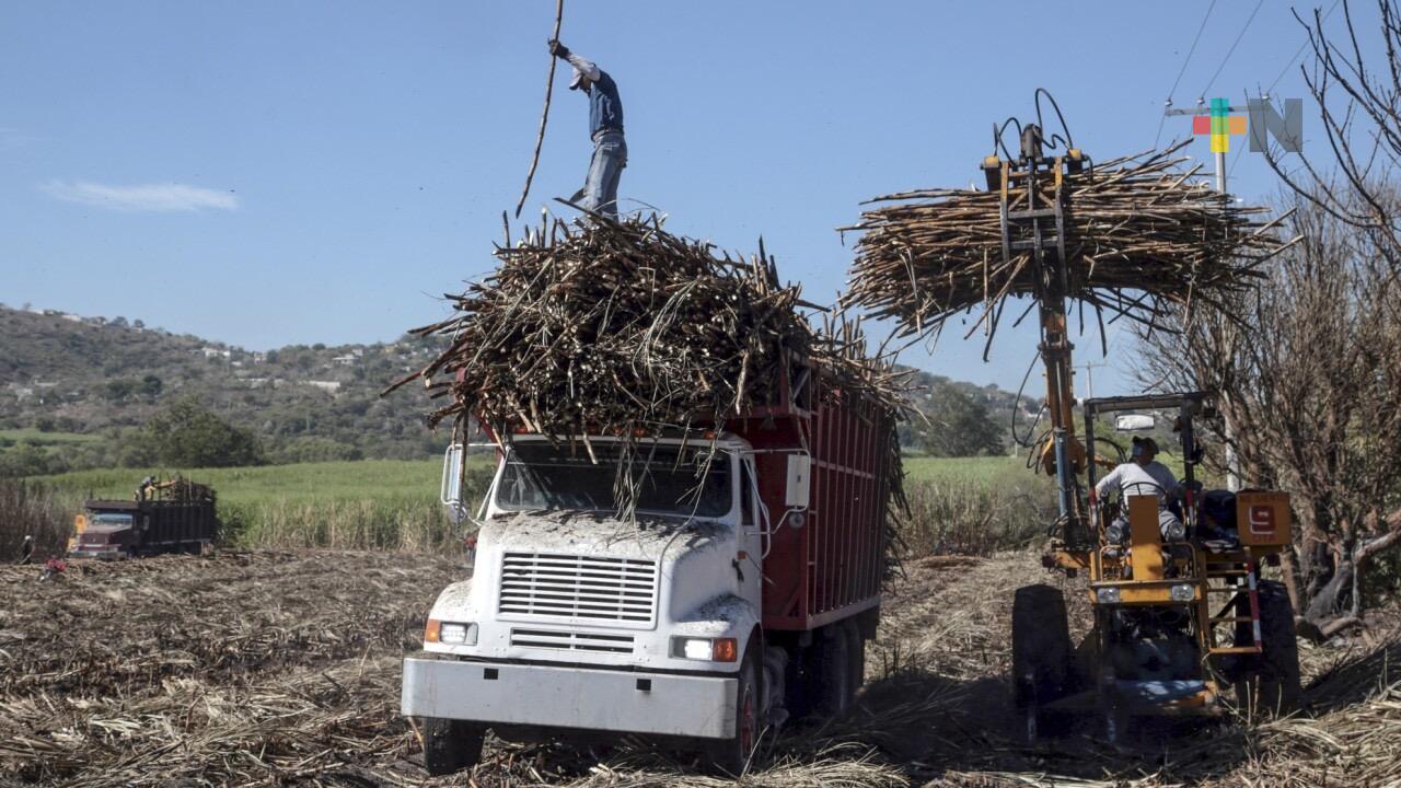 Rocío Nahle y Claudia Sheinbaum impulsan al campo: se frena la entrada de azúcar extranjera