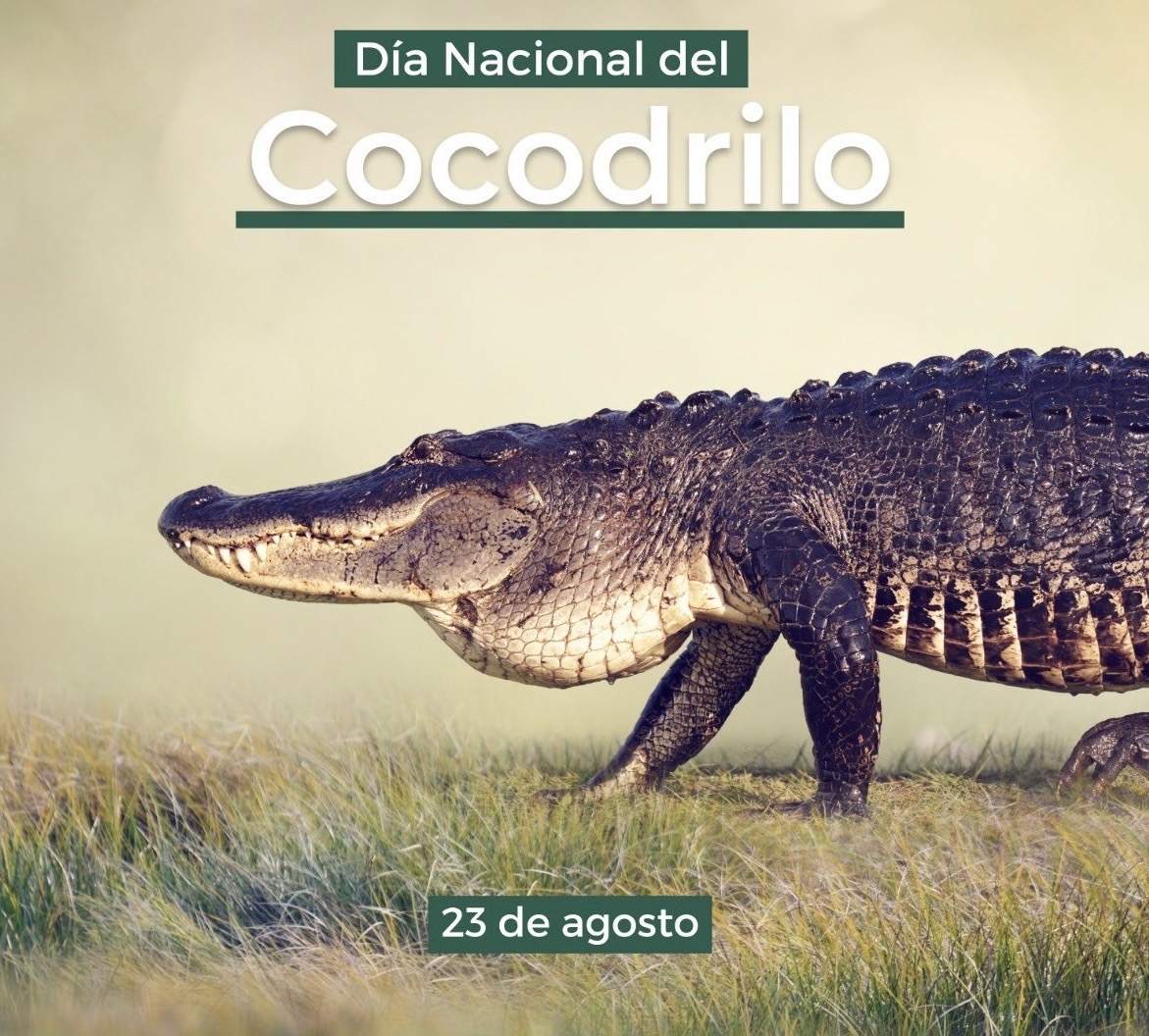 Día Nacional de los Cocodrilos
