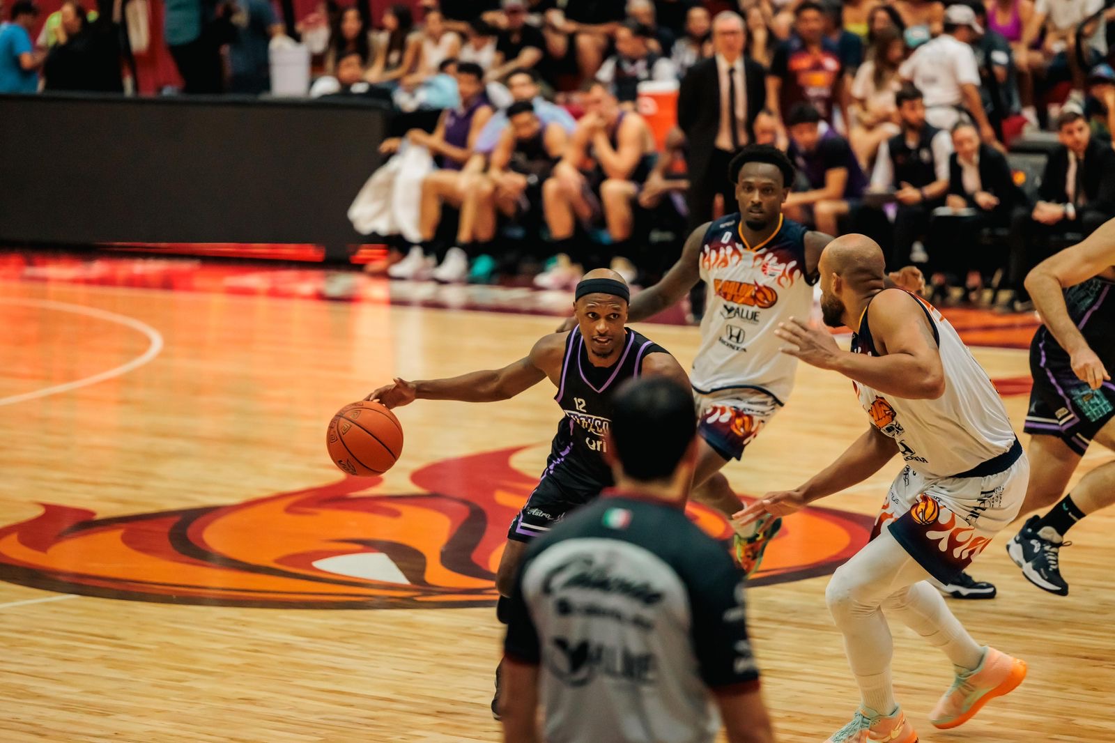 Los Halcones de Xalapa dominan el Caribe Mexicano