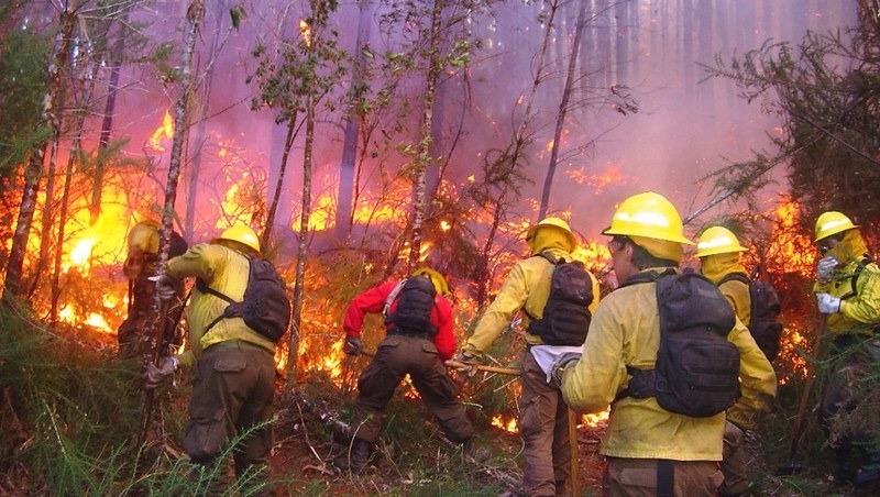 Día Mundial de la Prevención de Incendios Forestales