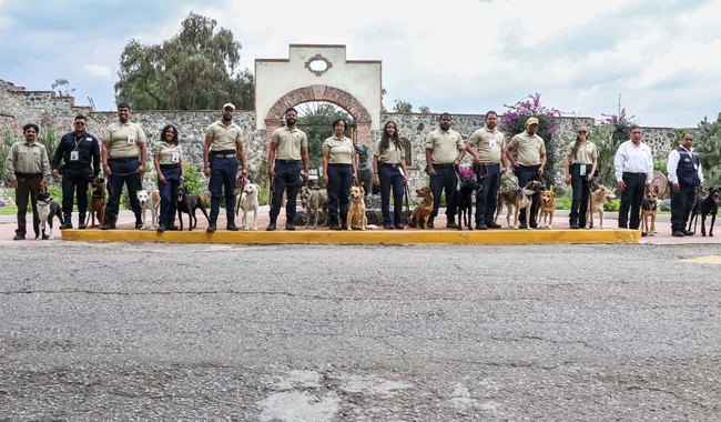 Reforzarán binomios caninos labores de inspección de mercancías agroalimentarias en México y Centroamérica
