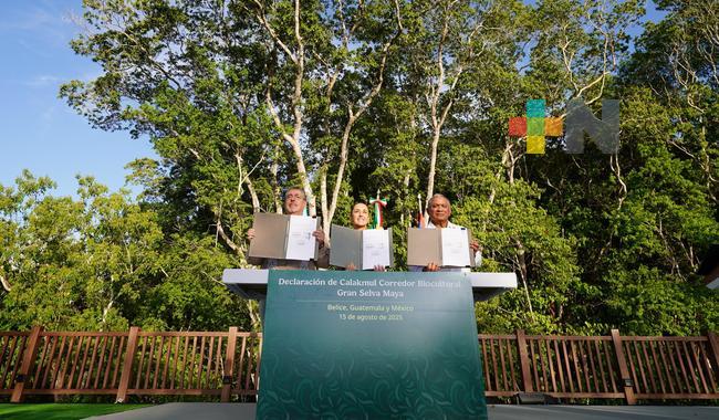 Corredor Biocultural Gran Selva Maya fortalece herencia cultural: Sheinbaum