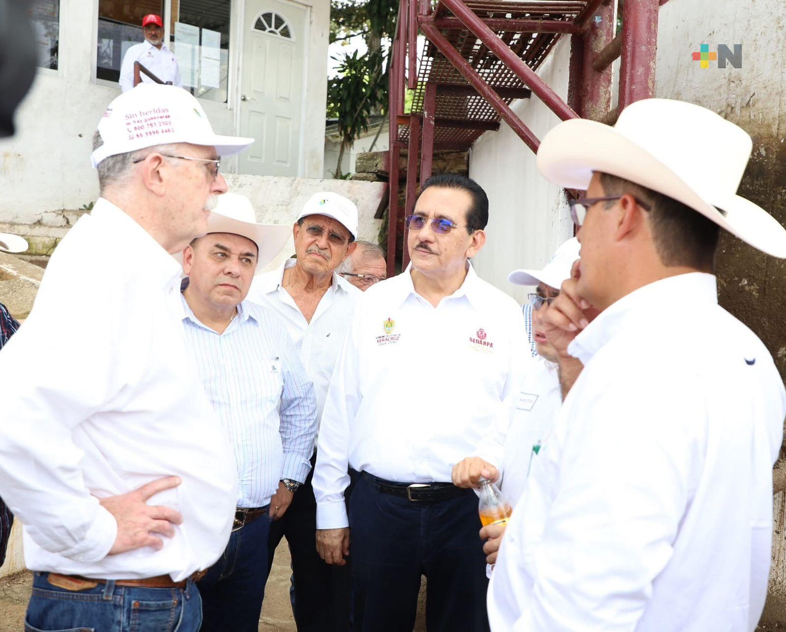 Autoridades federales, estatales y ganaderos buscan fortalecer medidas contra GBG