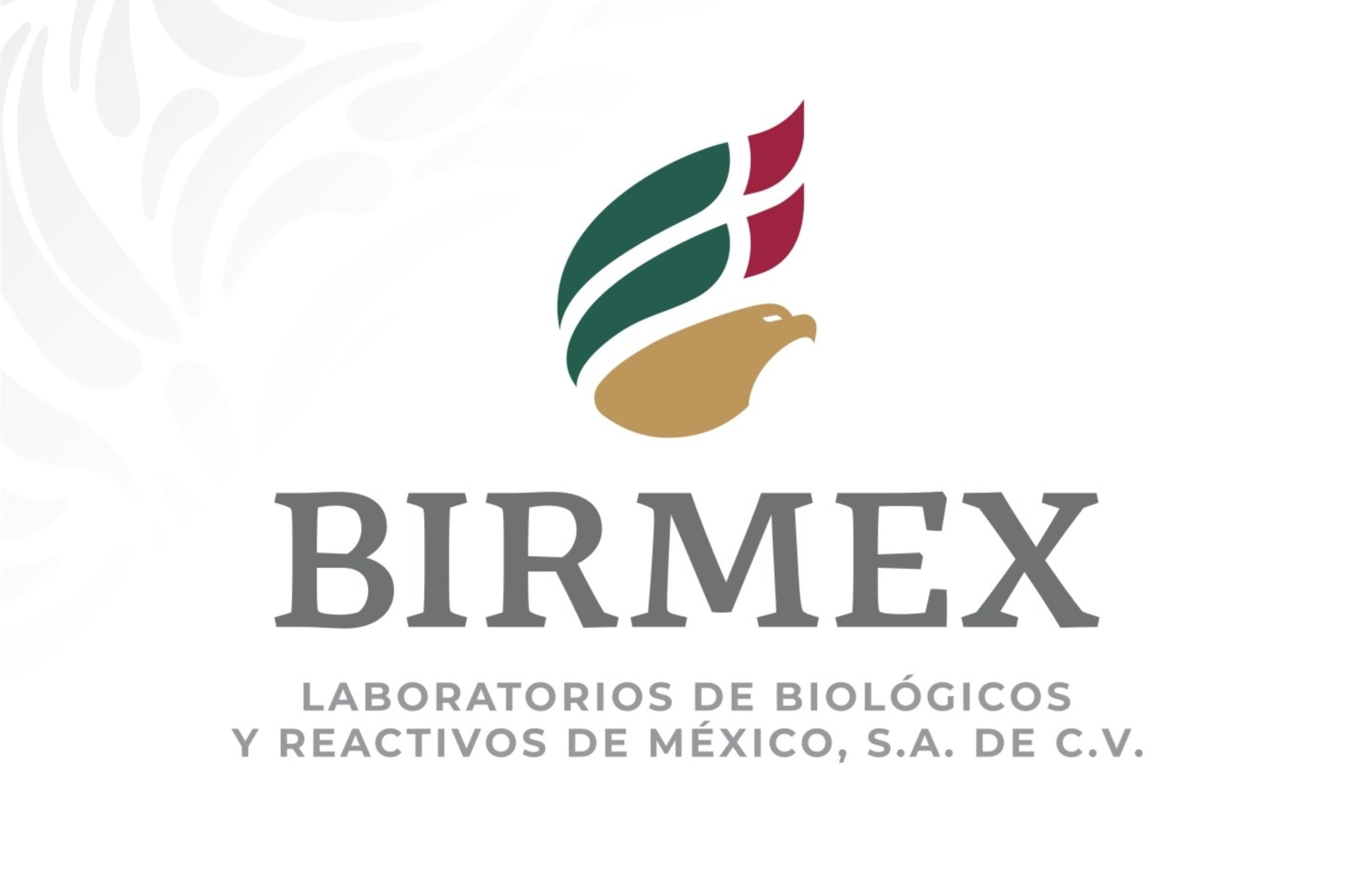 Birmex será responsable de compra de medicamentos e insumos de salud