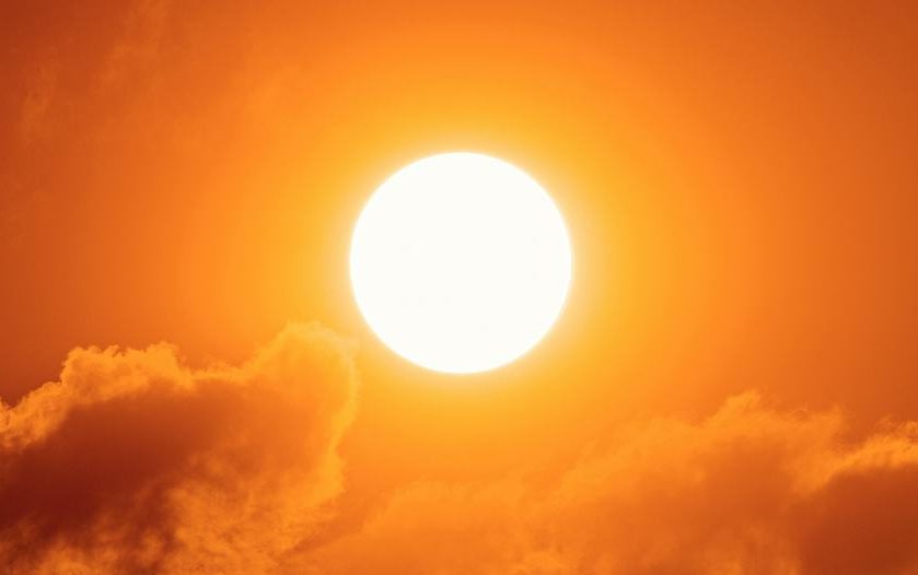 Aumentar vegetación en áreas urbanas nativas para mitigar el calor