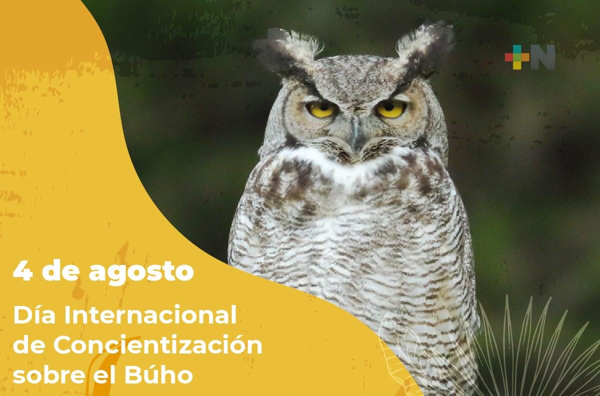 Día Internacional de Concientización sobre el Búho