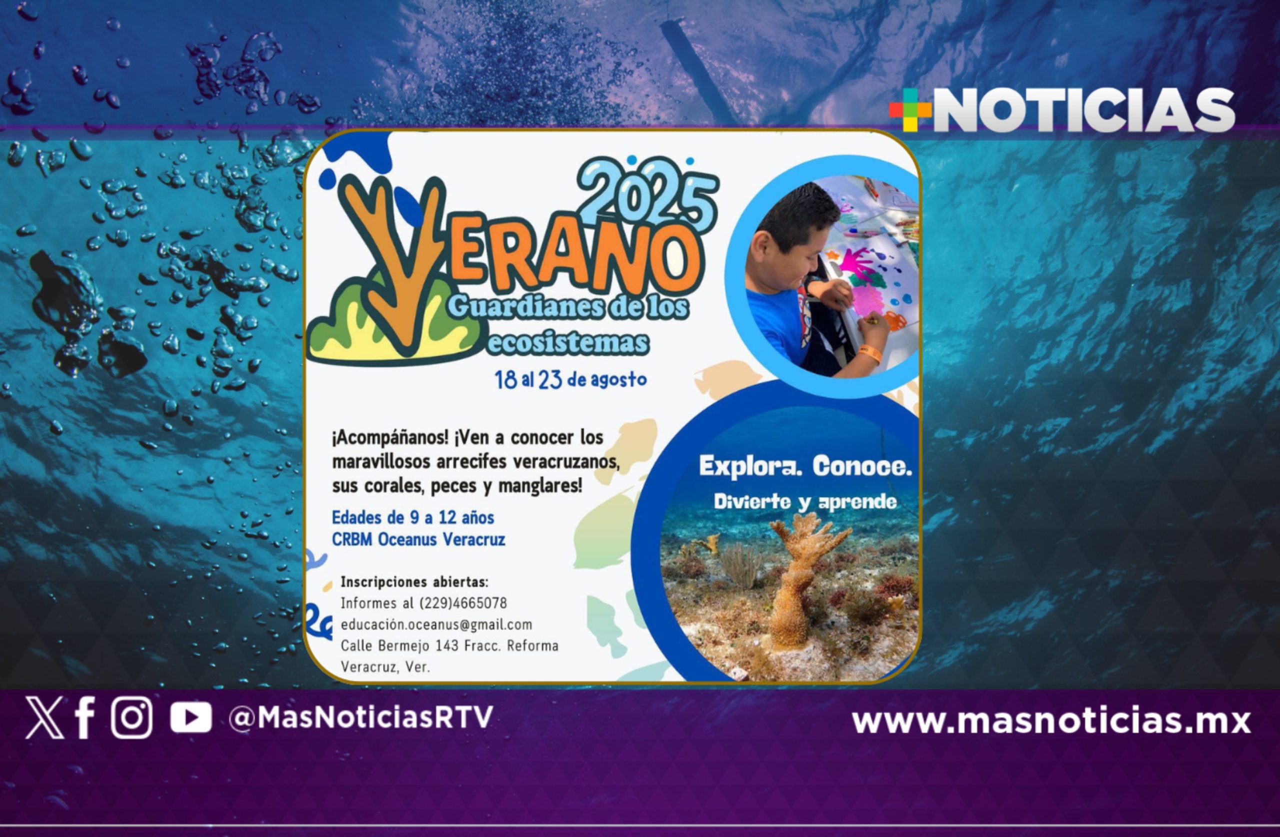 Convocan a curso de verano «Guardianes de los ecosistemas»