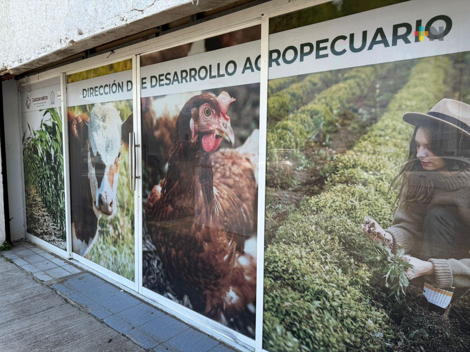 Ponen en marcha en Coatza apoyos para producción ganadera