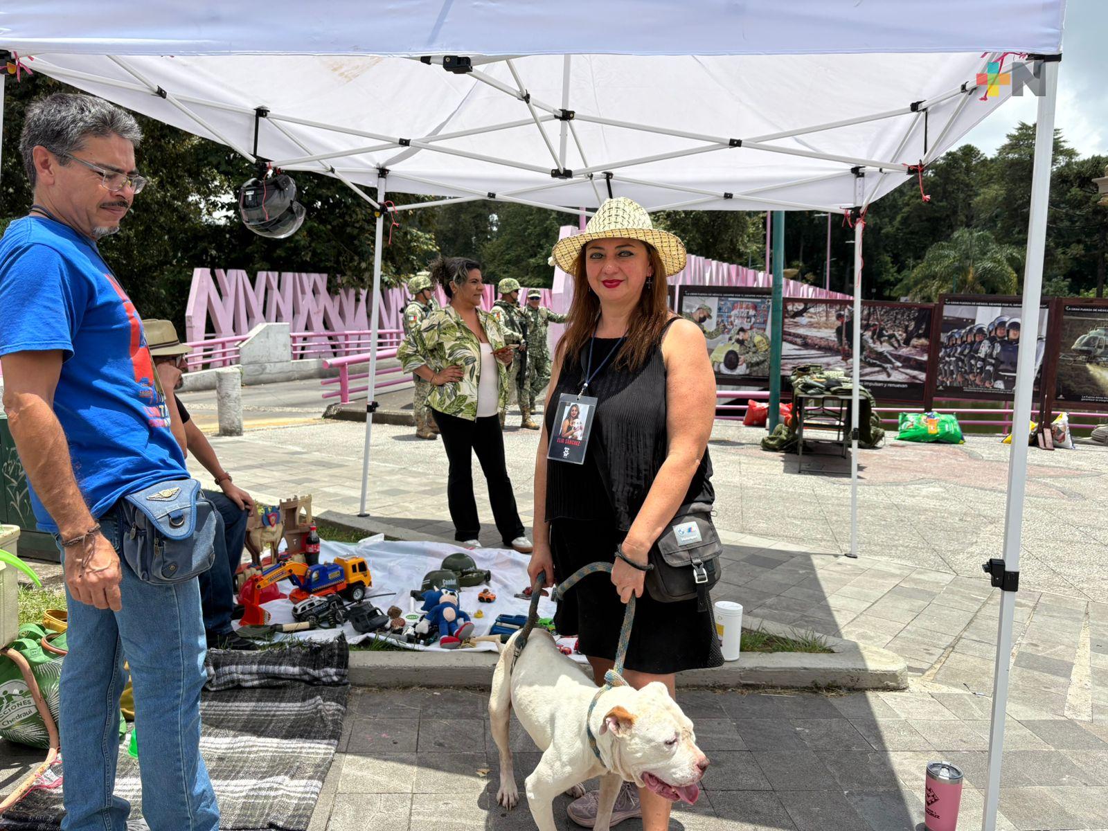 Abandono y maltrato animal se incrementa