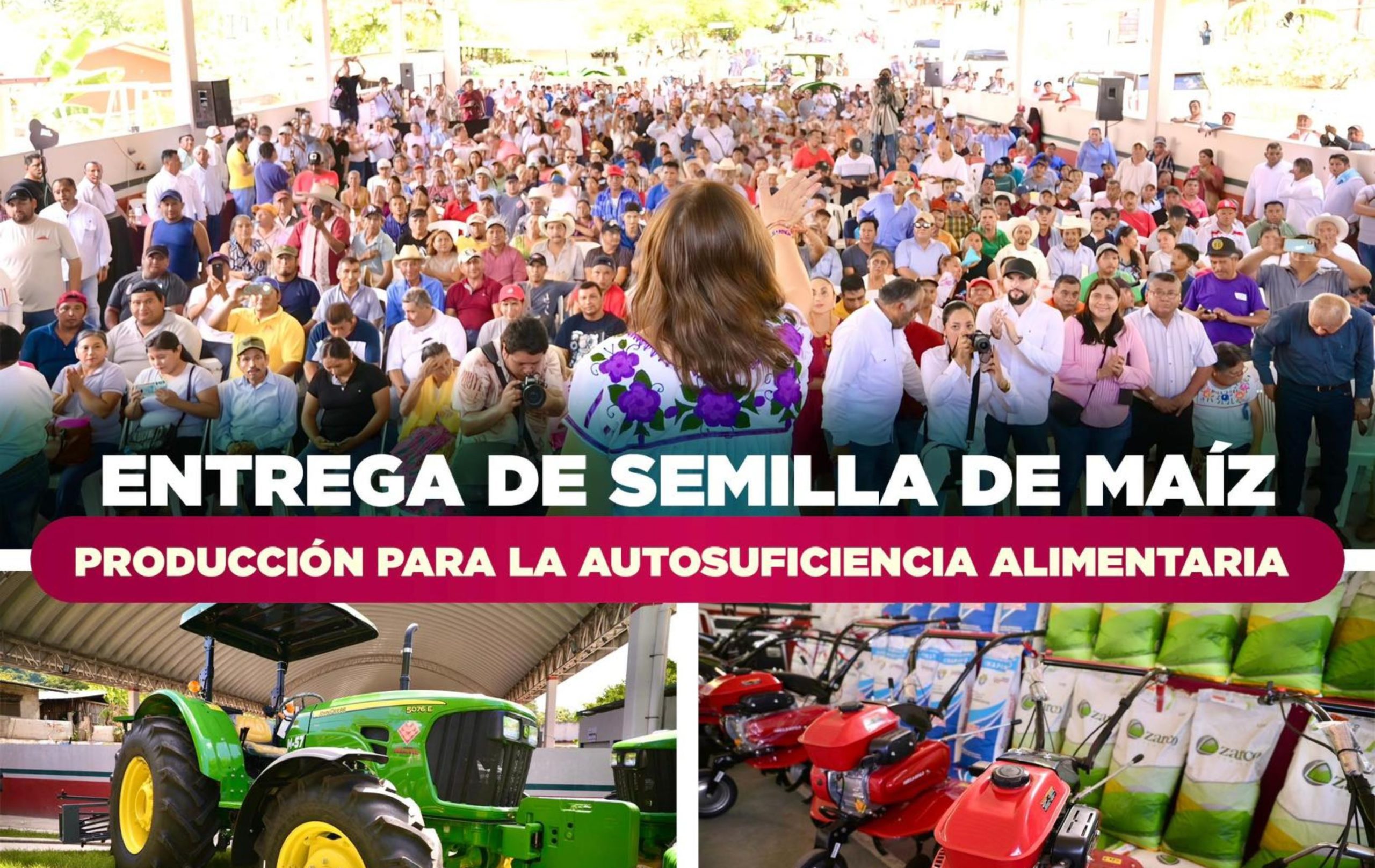 Rocío Nahle impulsa a Veracruz como granero de México; entrega semilla mejorada