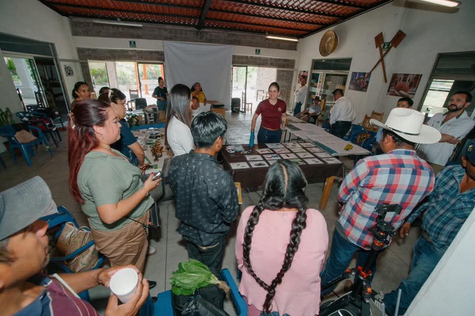 Jóvenes veracruzanos realizan acciones de conservación de insectos