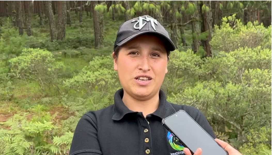 Mujeres extensionistas  apoyan reforestación en Huayacocotla