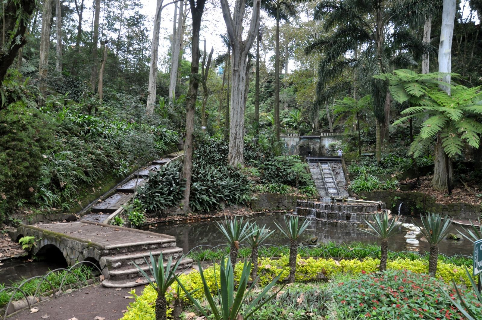 Recorre Xalapa, ciudad de parques: un respiro entre la urbanidad y la naturaleza