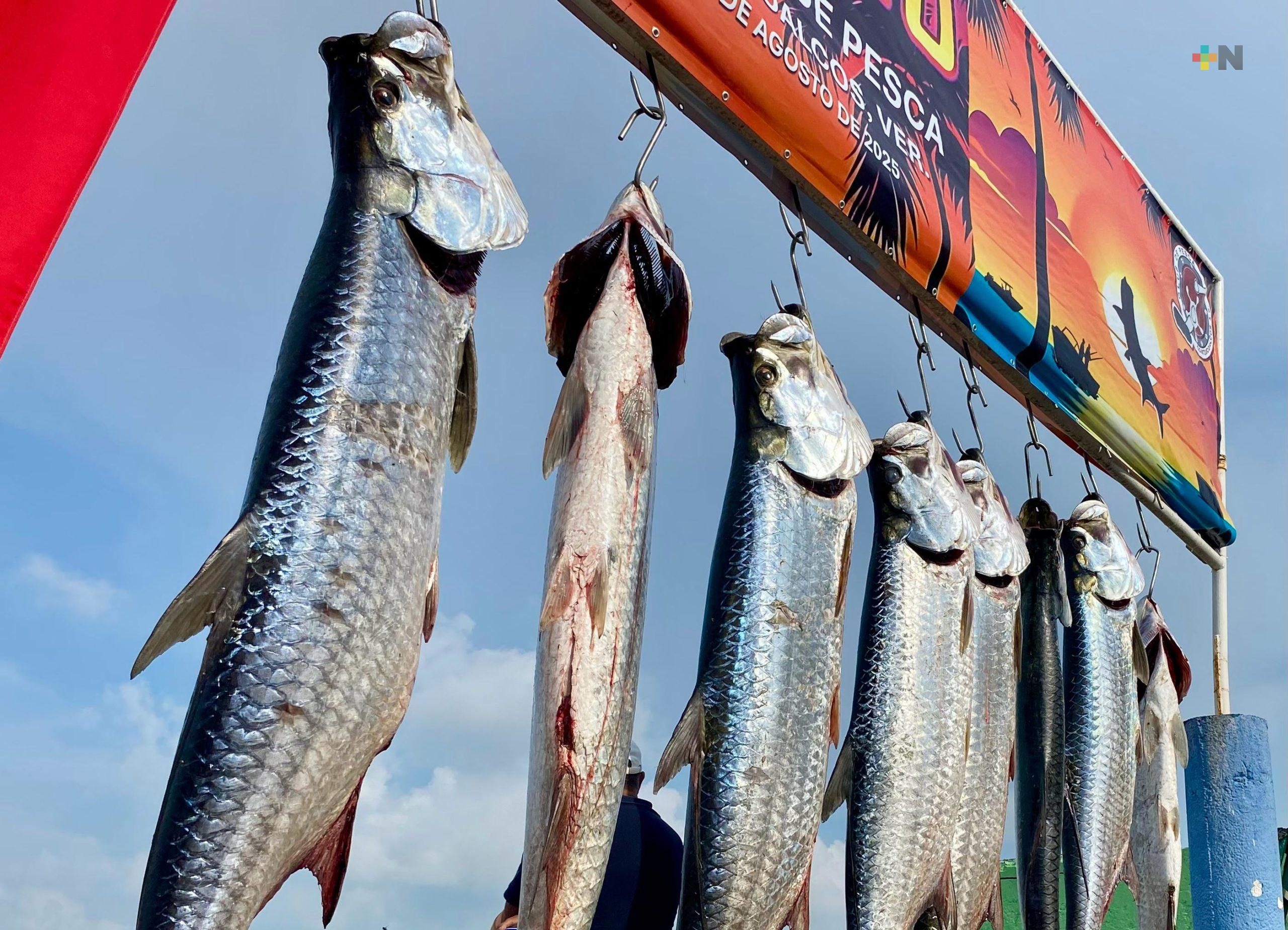 Apenas concluido torneo de pesca del sábalo en Coatza, ya preparan el de 2026