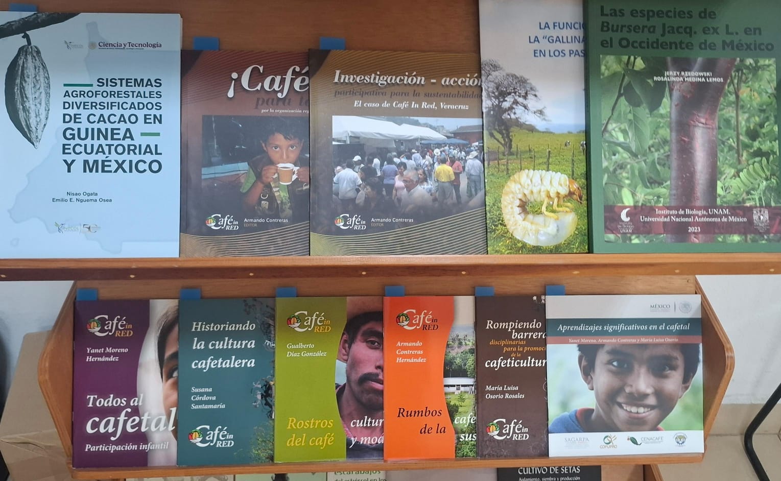 Revistas científicas deben tener pertinencia social y ser incluyentes, tal como el saber: expertos