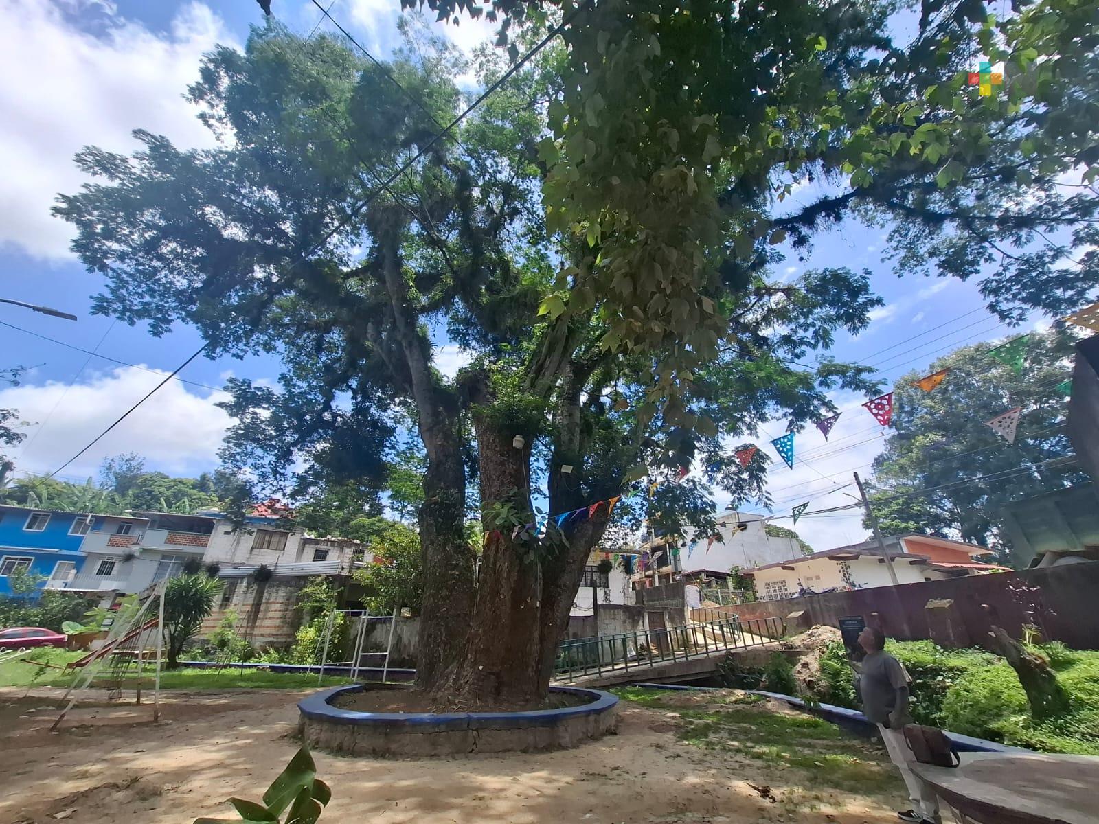 En Coatepec, el teatro crece con más espacios y puestas en escena