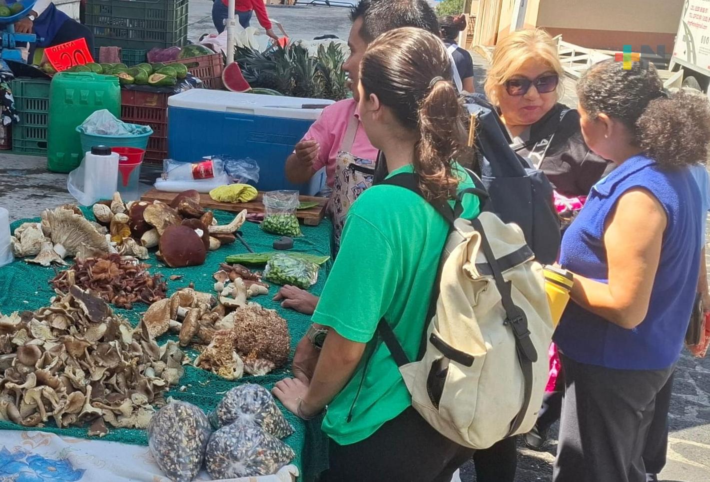 Venta de hongo tiene alta demanda en mercado de Xalapa