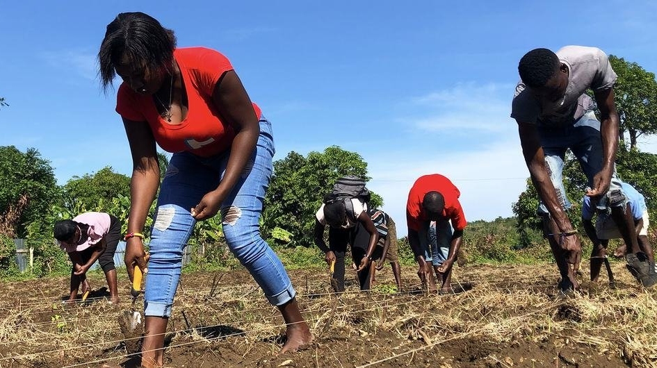 Agricultores de Haití construyen resiliencia semilla a semilla