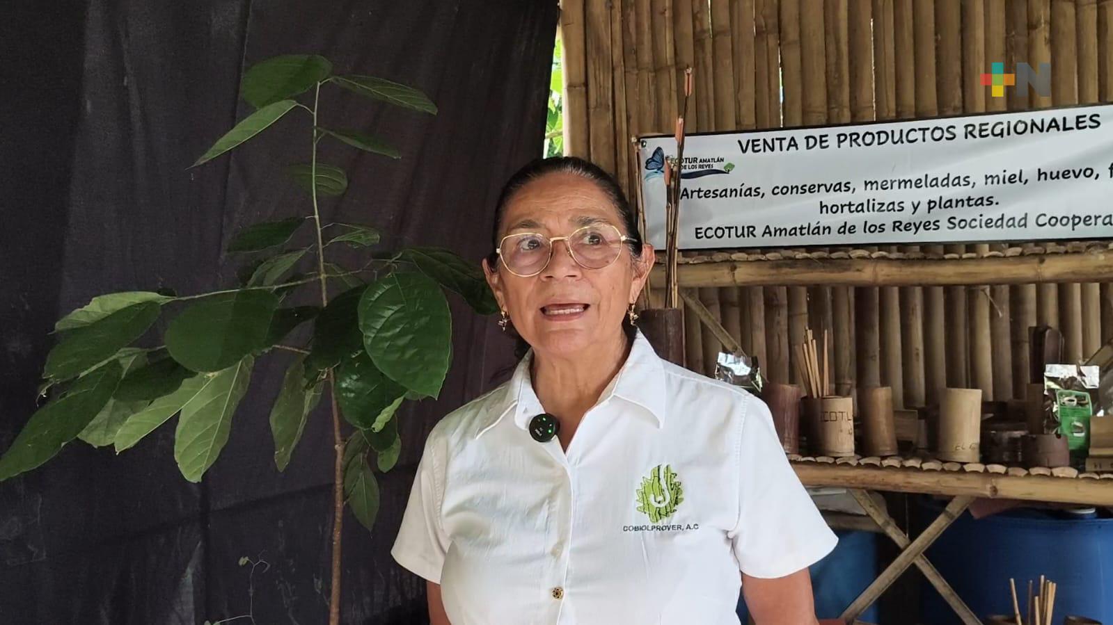 Reintroducen árbol nativo en Amatlán de los Reyes