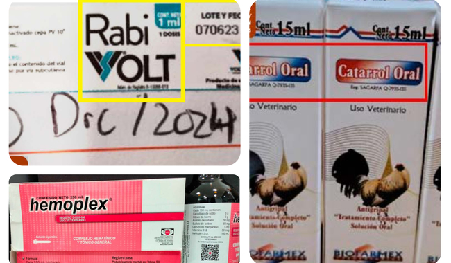 Senasica lanza alerta sanitaria por falsificación de Catarrol Oral, Hemoplex y Rabi Volt para uso animal