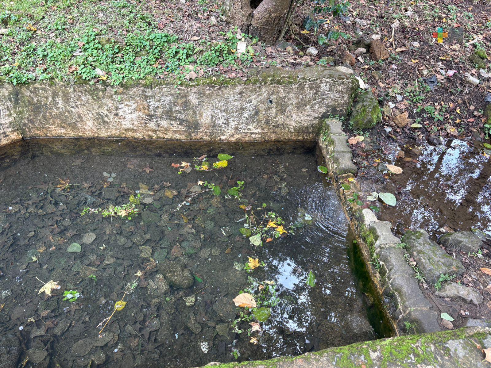 Ciudadanía interesada en rescatar manantial en Cerro de la Galaxia