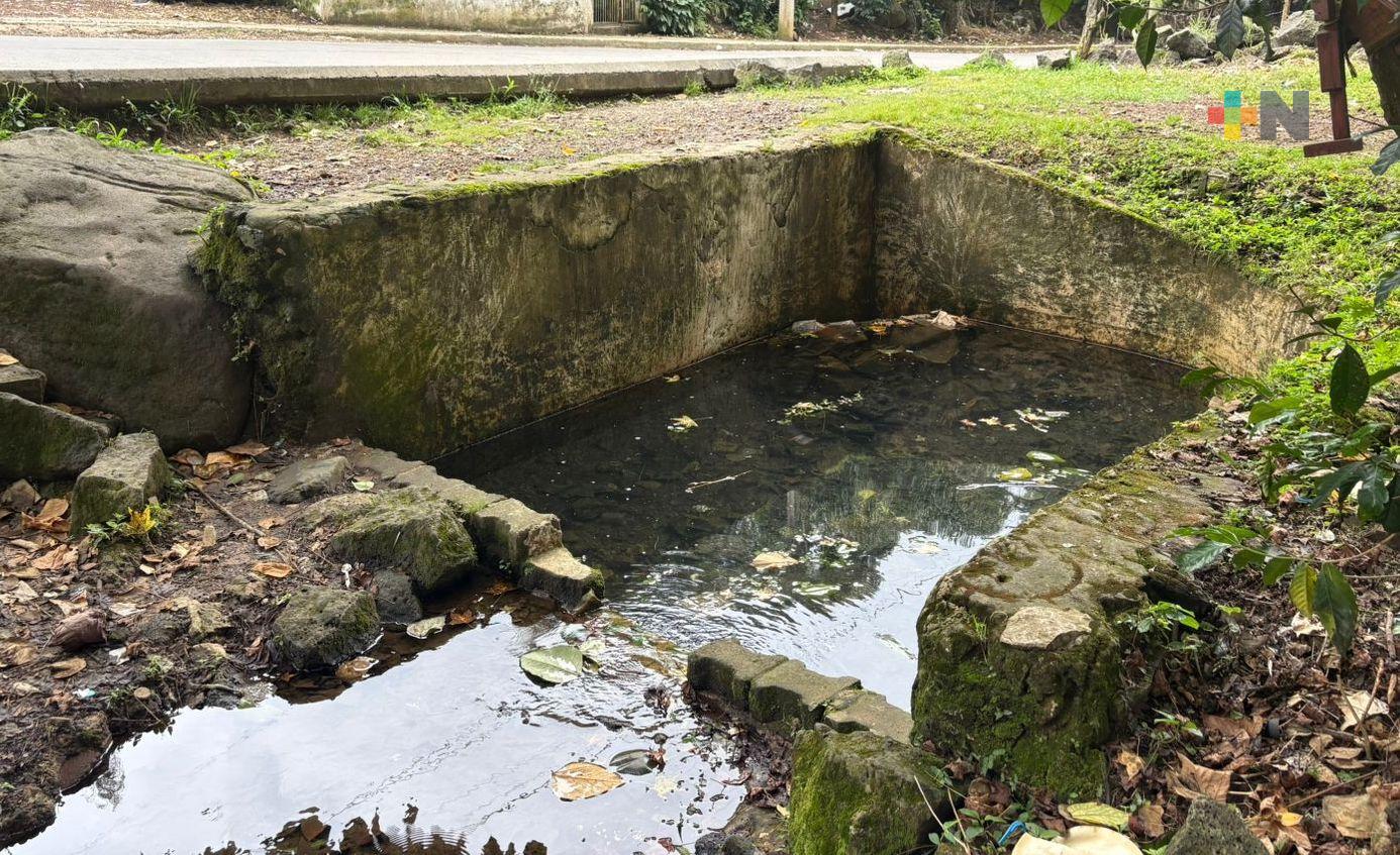 Descontaminación de manantiales de Xalapa, reto de la actual administración municipal