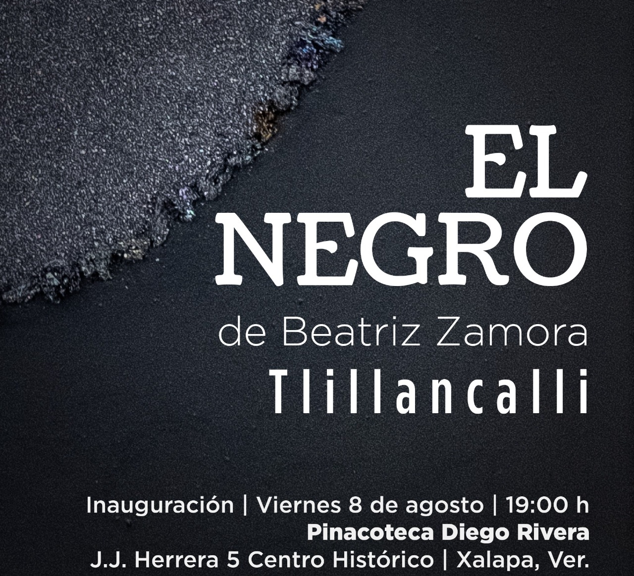 Este viernes se inaugura exposición de Beatriz Zamora en la Pinacoteca