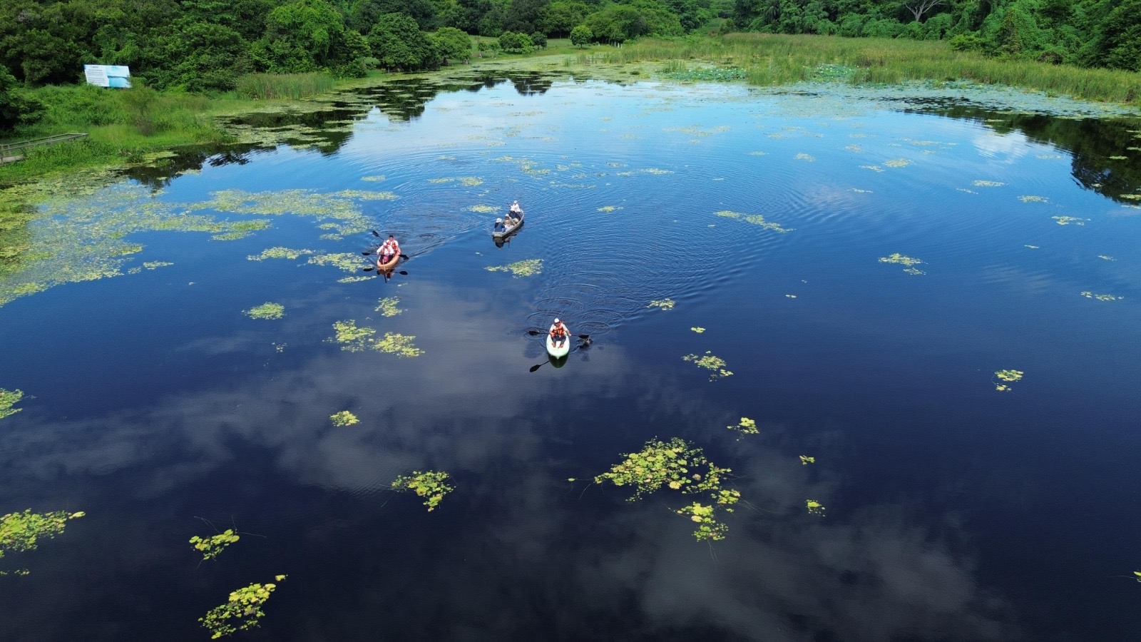 Con acciones coordinadas, CAEV y Sedema al rescate de la laguna de San Julián