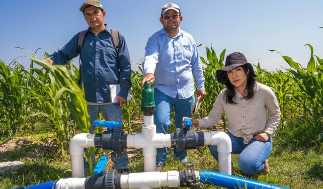 Agricultura presenta avances en autosuficiencia, soberanía alimentaria y bienestar rural de 2024-2025
