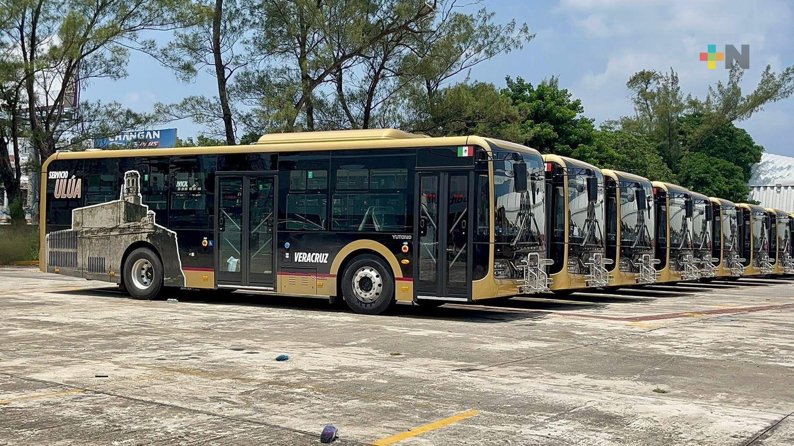 Autobuses Ulúa comenzarán a operar la próxima semana: Rocío Nahle