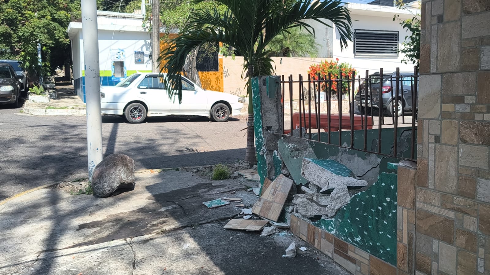 Al huir de un percance vial, conductora derriba una barda y un árbol en Veracruz puerto