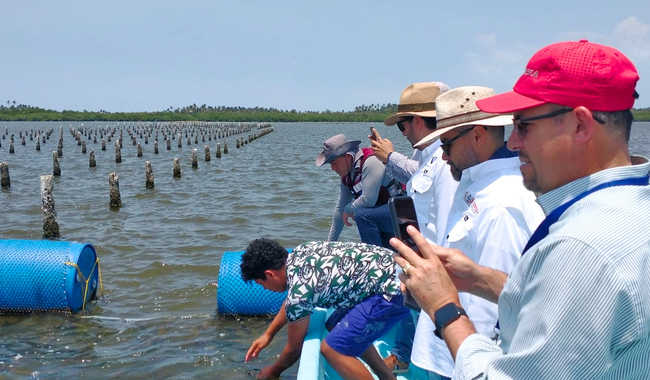 Conapesca capacita a 1,425 acuacultores en 13 estados, para impulsar cultivos de tilapia y ostión