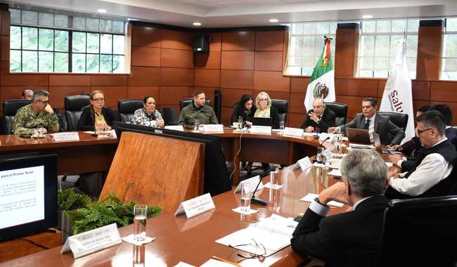 Consejo de Salubridad General aprueba cuatro nuevos Protocolos Nacionales de Atención Médica