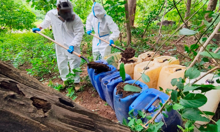 Operación Frontera Norte llega a 95.1 toneladas de droga decomisadas