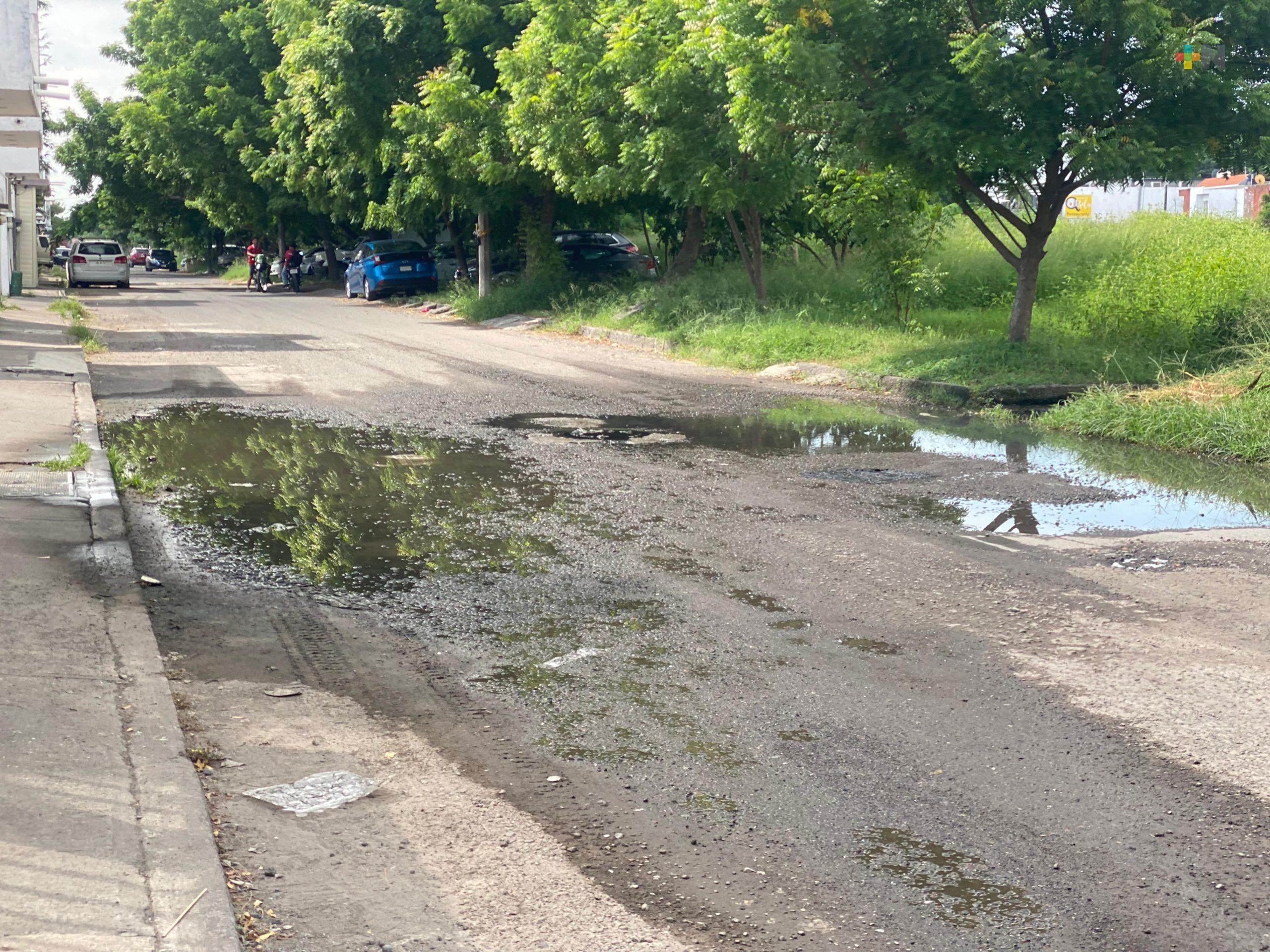 En mal estado la calle del Paseo de la Zamorana