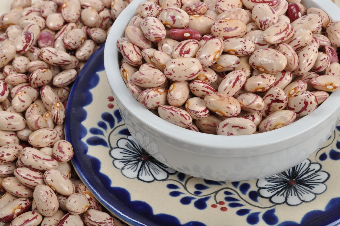 Semillas del Bienestar: volver a sembrar con calidad