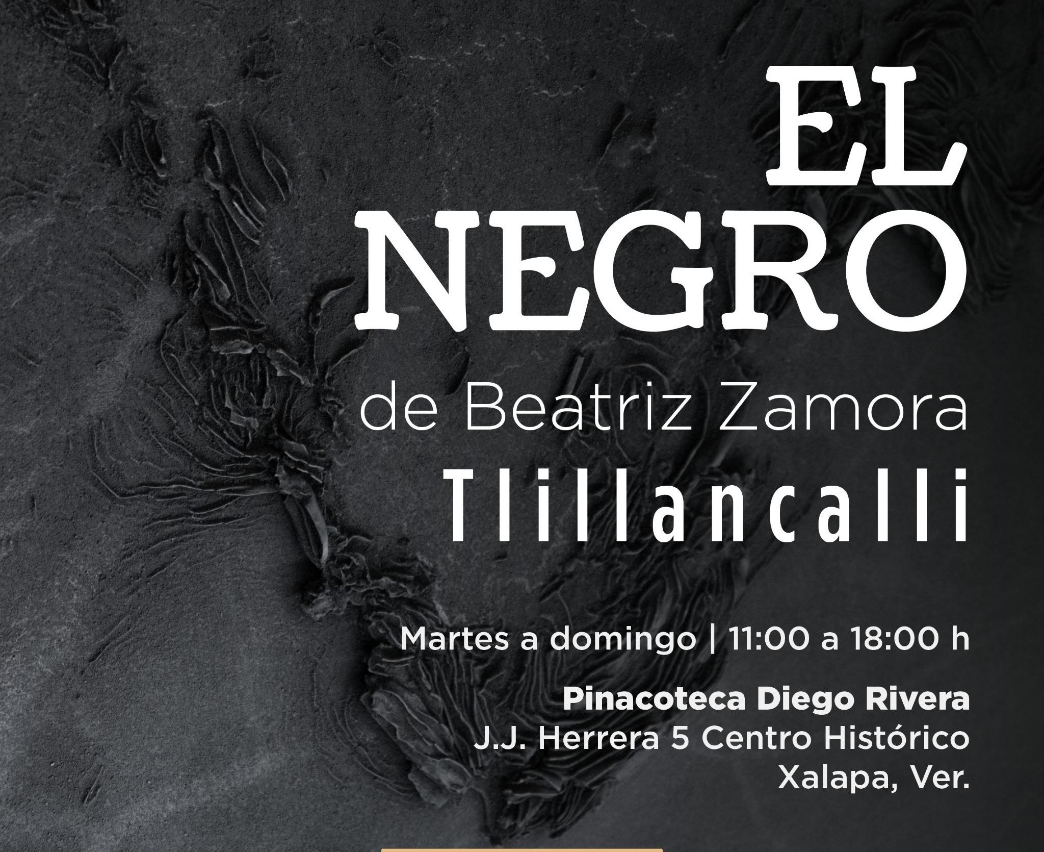 Continúa El Negro de Beatriz Zamora en la Pinacoteca