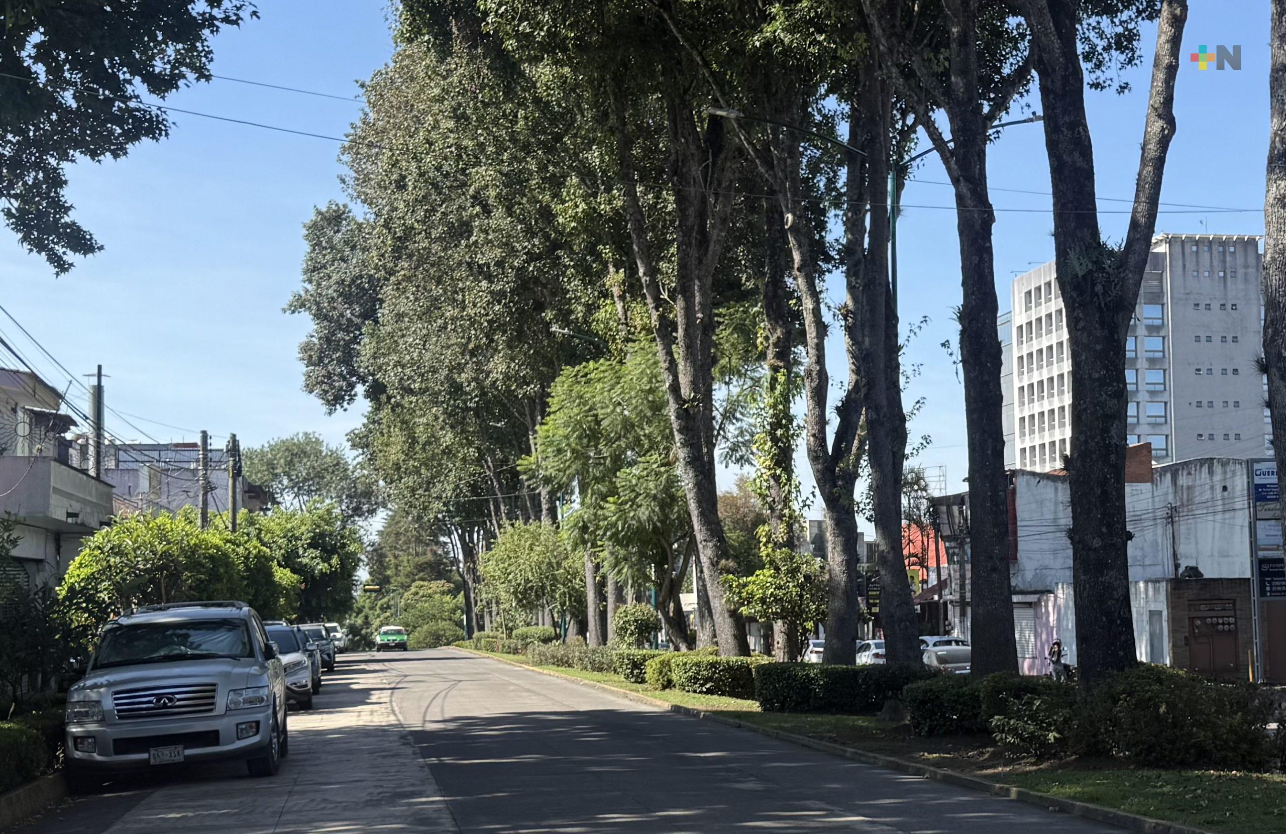 Ambiente fresco con probabilidad de lluvias vespertinas