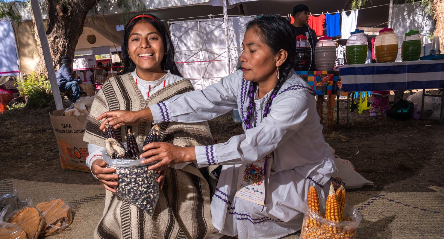 Programas de apoyo al campo suman cada vez más a mujeres indígenas
