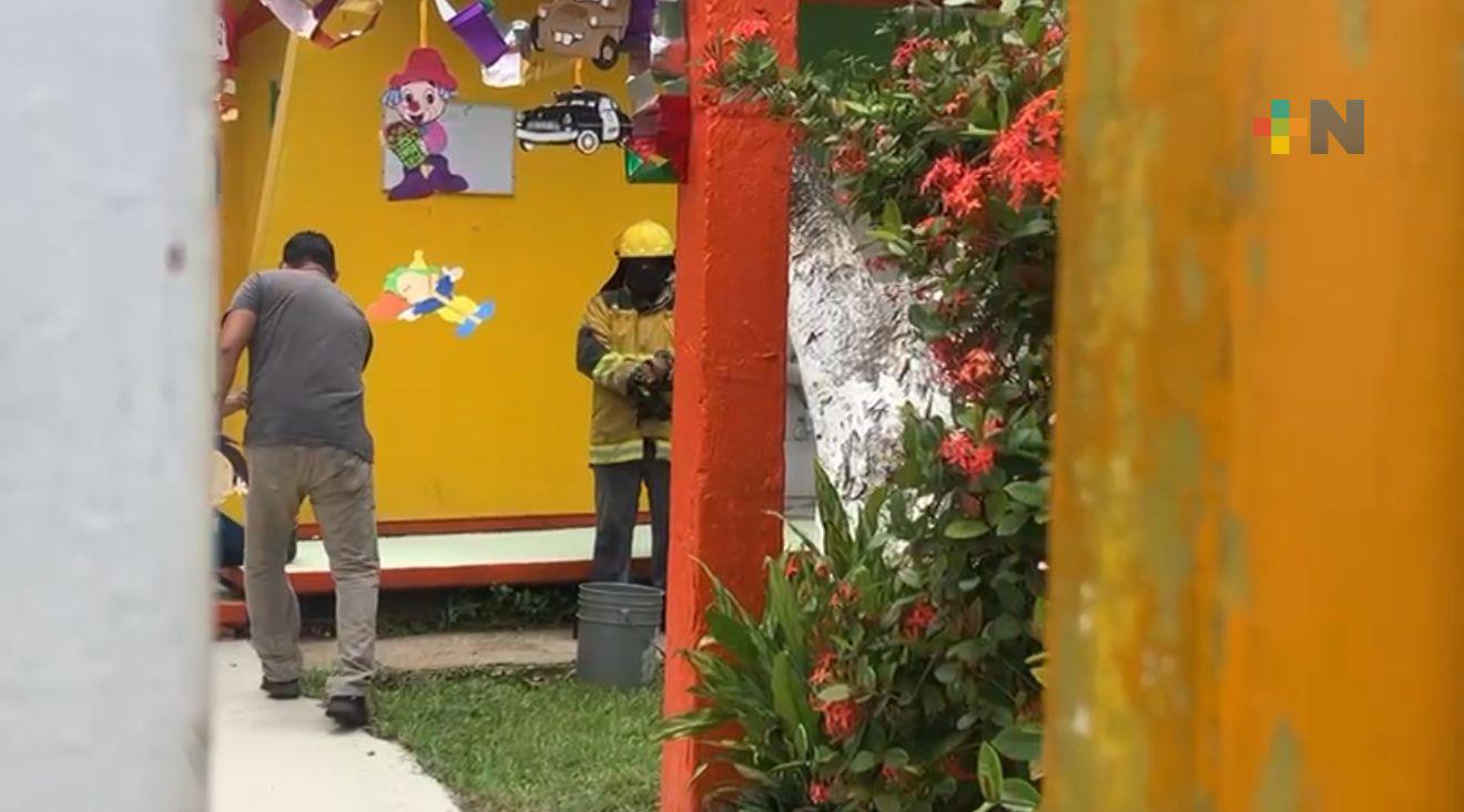 Abejas atacan a niños y maestros en kinder de Coatzacoalcos